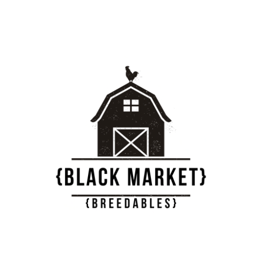 Black Market Breedables Boo Bash!
