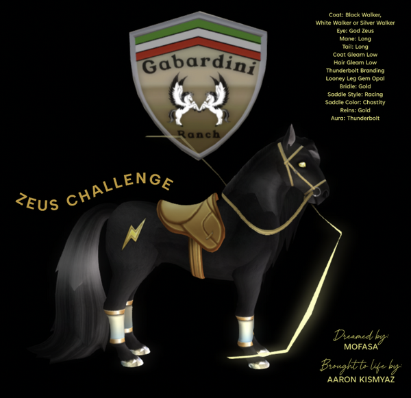 ZEUS CHALLENGE